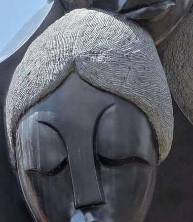 Chiselled texture of the hair against the polished face