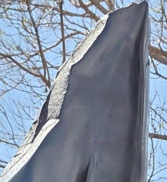 The rough-cut top edge of the torso against the polished surface