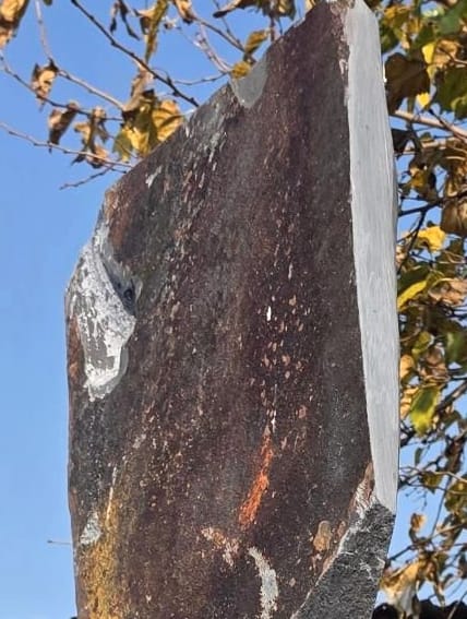 The rind crown meeting the honed grey shaft