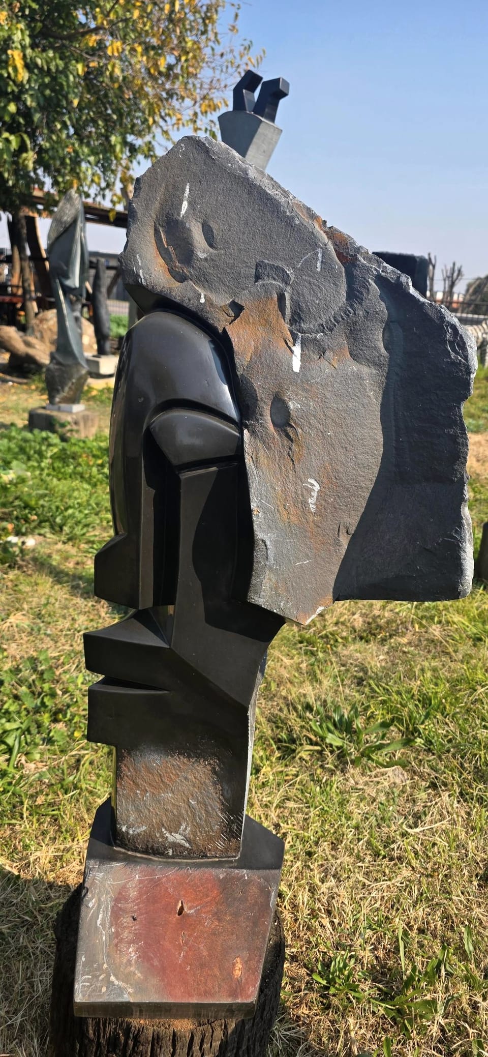 The polished face beneath its slab of raw rind, standing on a red-brown stone base in the yard