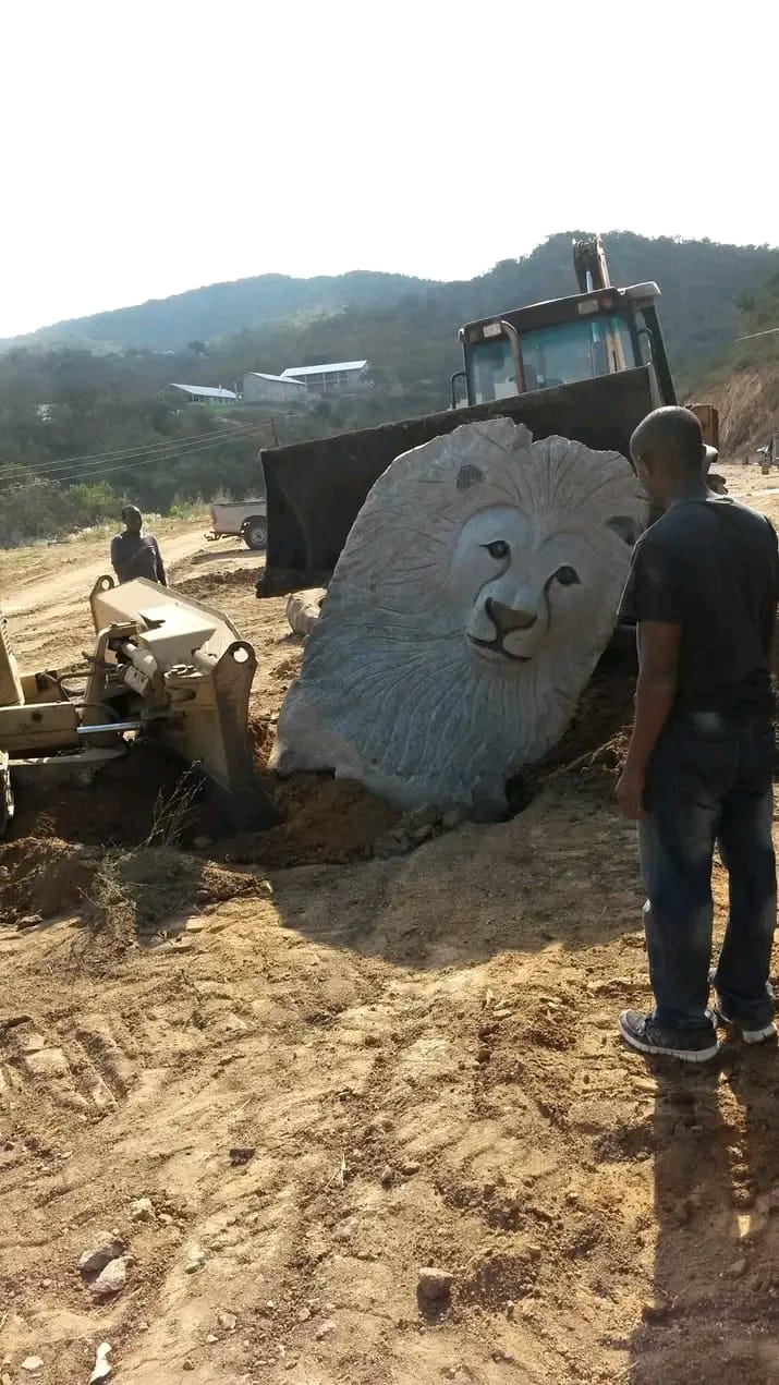 Large carved lion head partly buried in the earth, being moved by a digger