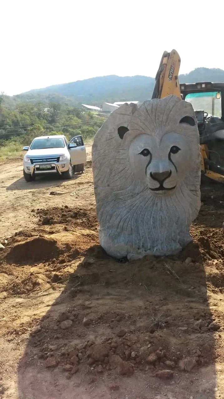 Carved lion head standing upright in the yard with a white vehicle behind it