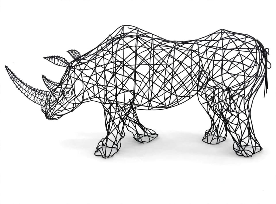 Life-size open steel wire rhino, on white